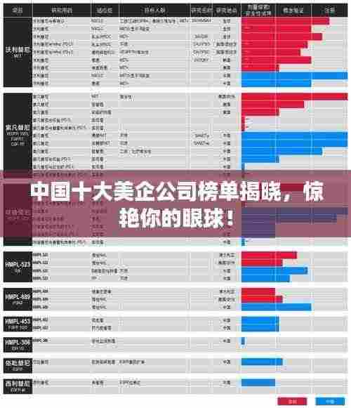 中国十大美企公司榜单揭晓,惊艳你的眼球!