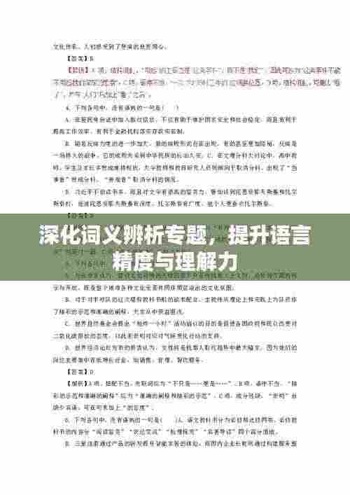 深化词义辨析专题，提升语言精度与理解力