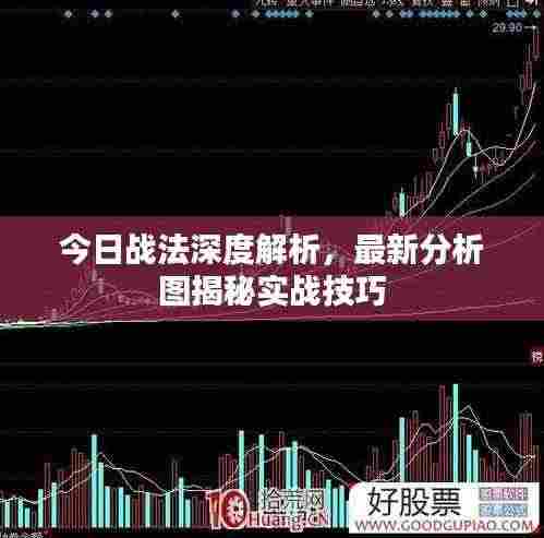 今日战法深度解析,最新分析图揭秘实战技巧
