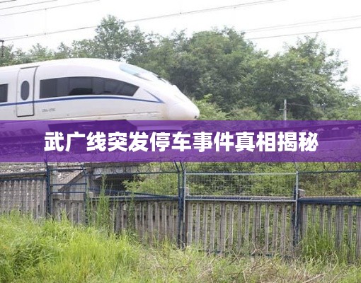 武广线突发停车事件真相揭秘