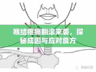 喉结疼痛翻滚来袭,探秘成因与应对良方