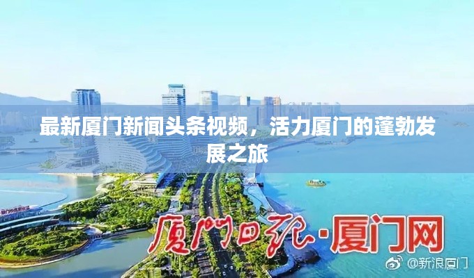 最新厦门新闻头条视频,活力厦门的蓬勃发展之旅