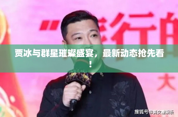 贾冰与群星璀璨盛宴,最新动态抢先看!