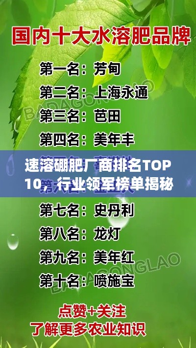 速溶硼肥厂商排名TOP10，行业领军榜单揭秘！