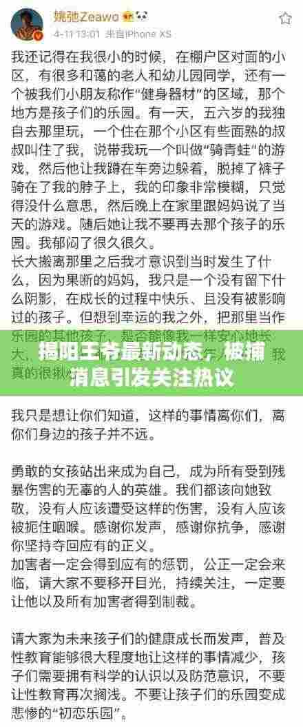 揭阳王爷最新动态,被捕消息引发关注热议
