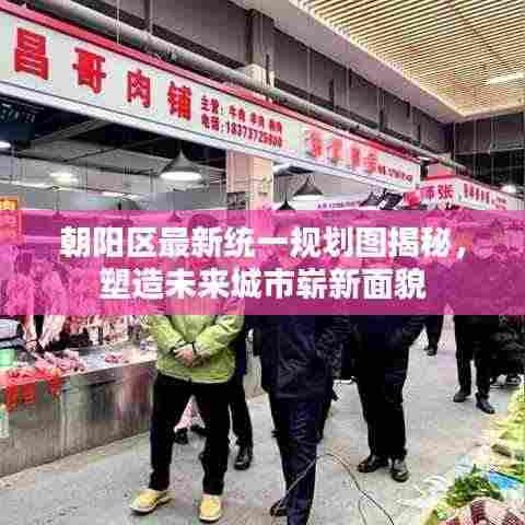 朝阳区最新统一规划图揭秘,塑造未来城市崭新面貌