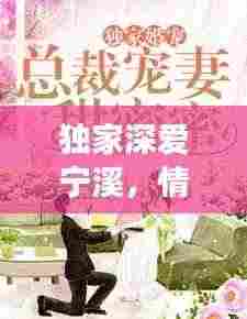 独家深爱宁溪,情感深处的故事