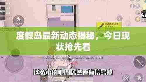 度假岛最新动态揭秘,今日现状抢先看