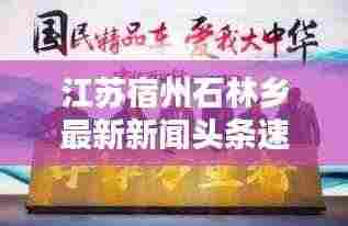 江苏宿州石林乡最新新闻头条速递