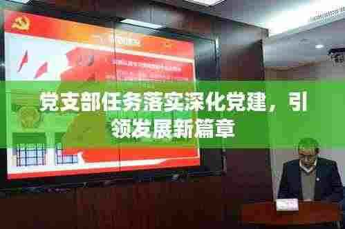党支部任务落实深化党建，引领发展新篇章