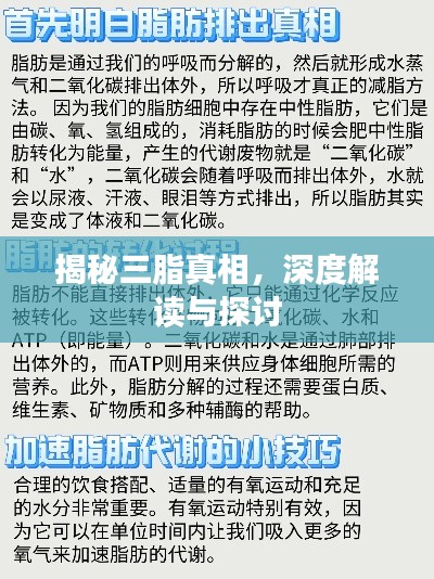 揭秘三脂真相,深度解读与探讨