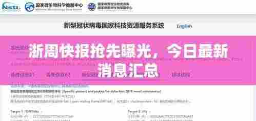 浙周快报抢先曝光，今日最新消息汇总