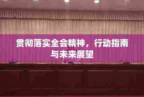 贯彻落实全会精神，行动指南与未来展望