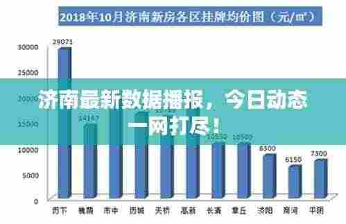 济南最新数据播报,今日动态一网打尽!