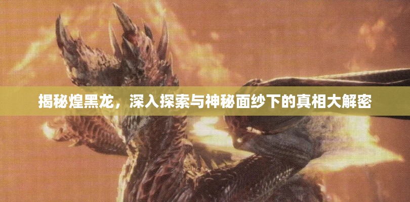 揭秘煌黑龙,深入探索与神秘面纱下的真相大解密