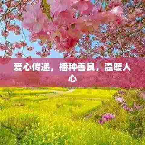 爱心传递，播种善良，温暖人心
