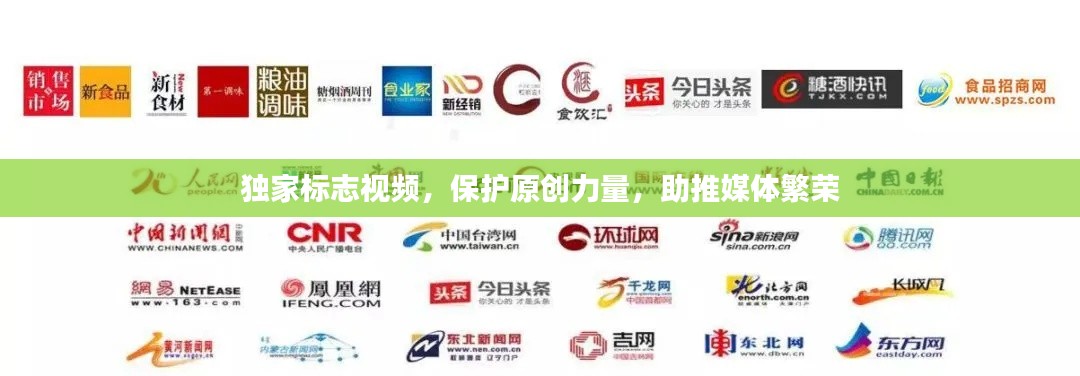 独家标志视频,保护原创力量,助推媒体繁荣