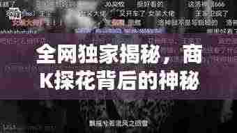 全网独家揭秘,商K探花背后的神秘面纱!